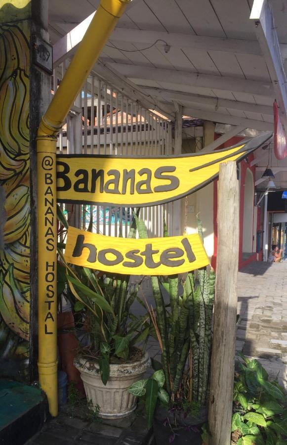 Bananas Hostel Itacaré Eksteriør billede